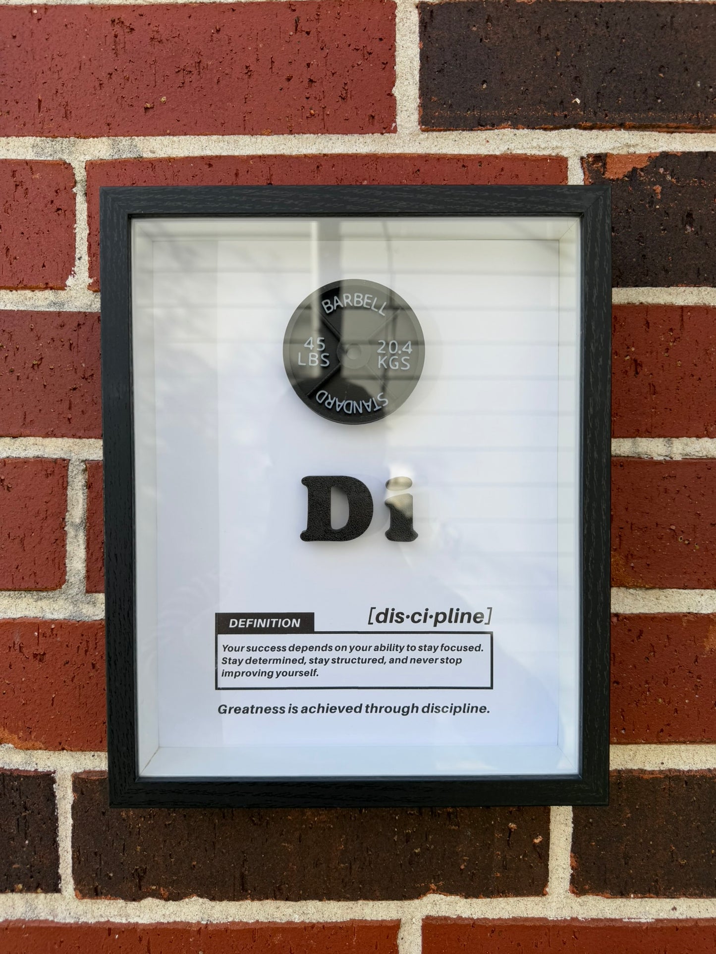 Discipline Shadow Box with Barbell Plate