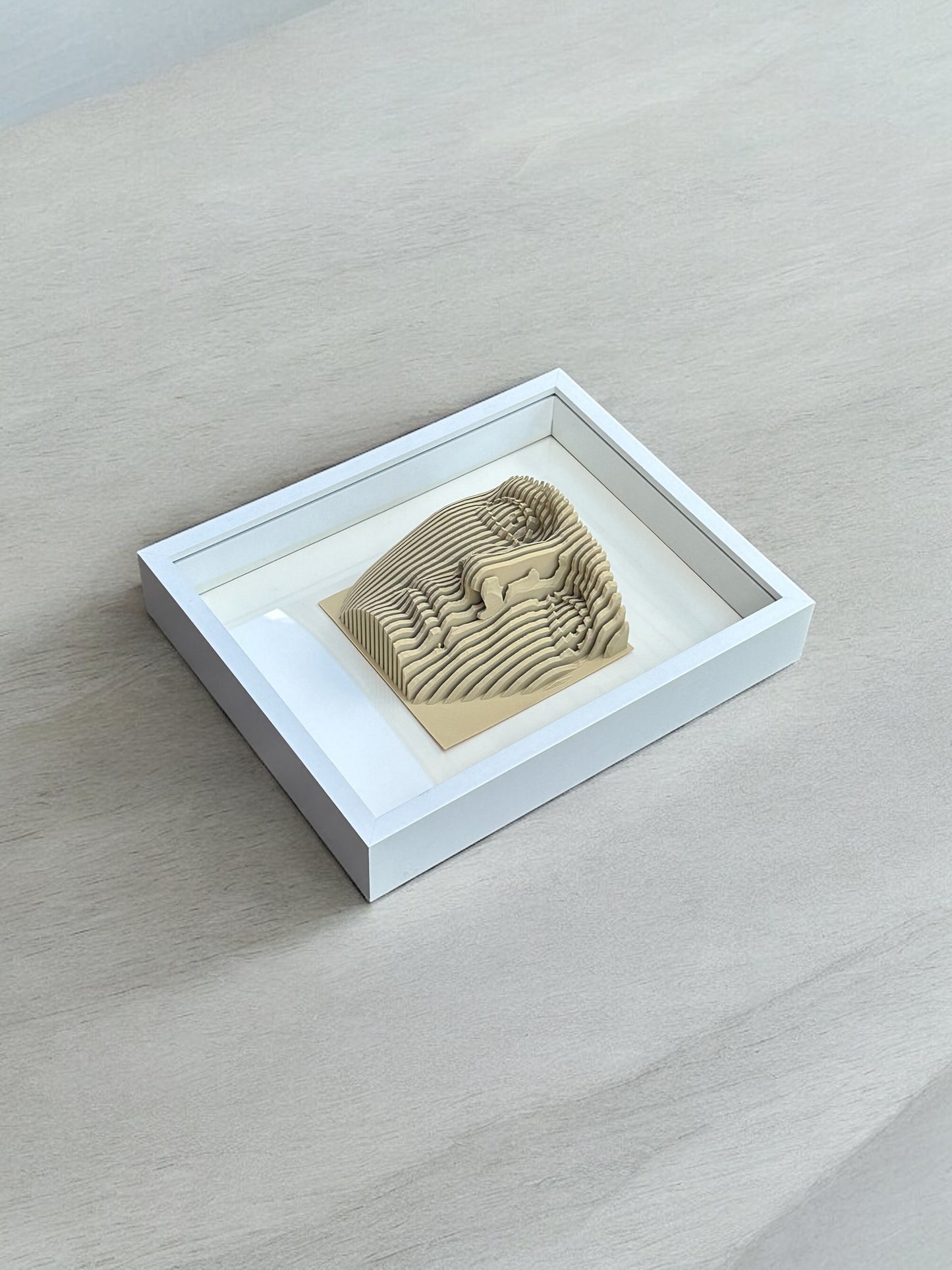 Parametric Face Shadow Box — Optical Illusion 3D Sculpture Wall Art