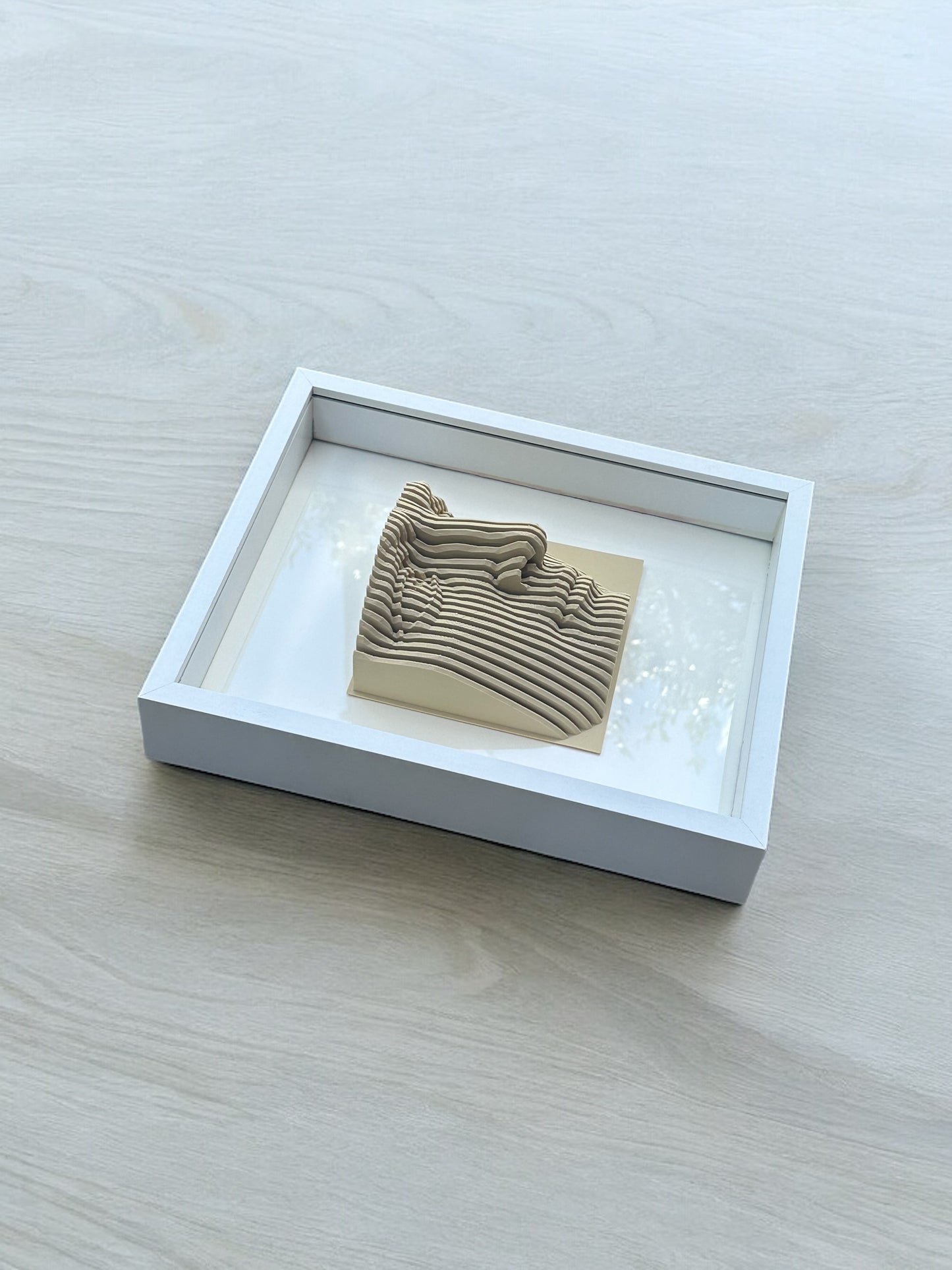 Parametric Face Shadow Box — Optical Illusion 3D Sculpture Wall Art