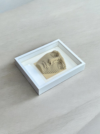 Parametric Face Shadow Box — Optical Illusion 3D Sculpture Wall Art